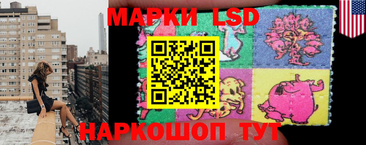 Бор  Наркотические марки 1,5мг  Наркотические марки  где найти   Вход с VPN 