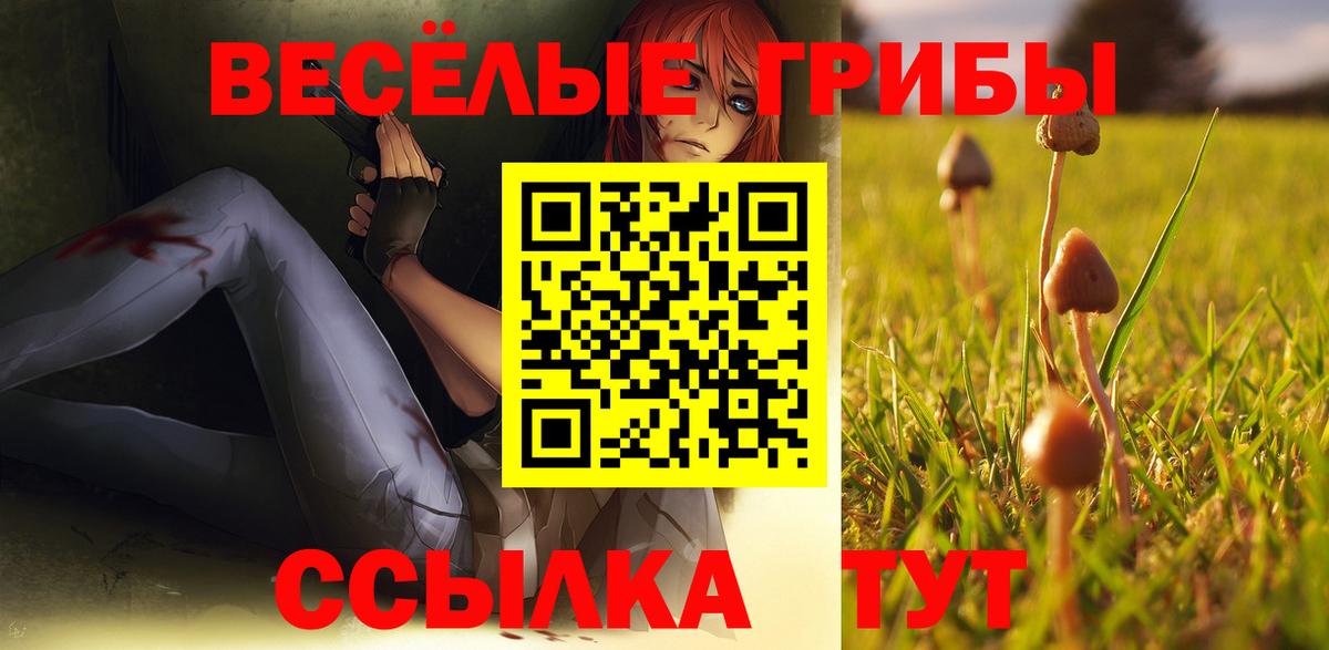 Галлюциногенные грибы ЛСД Бор
